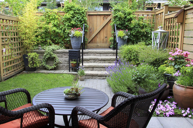 Cómo jardín con plantas de exterior