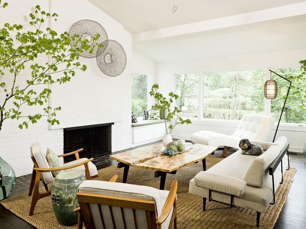 ¡Nueva tendencia! Tener un bosque dentro de casa yaencontre