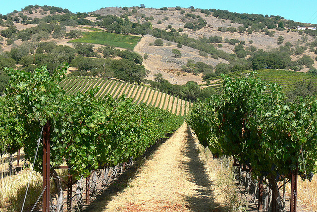 vivienda según ubicación