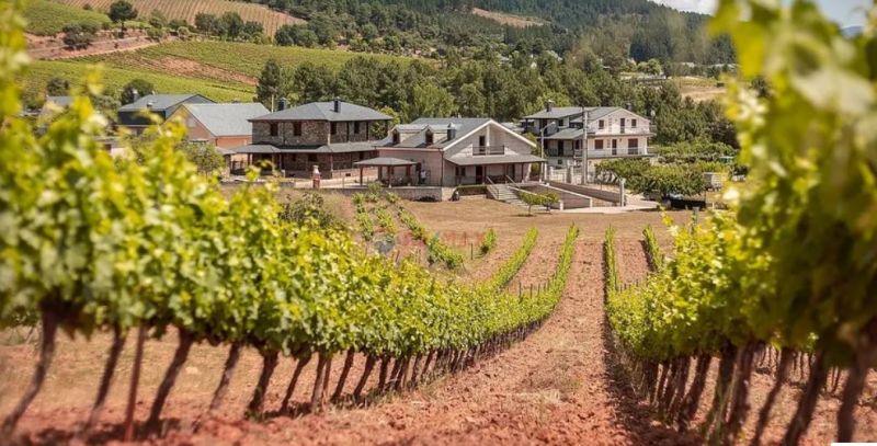 Casas cerca de viñedos: naturaleza y paisajes diversos para vivir