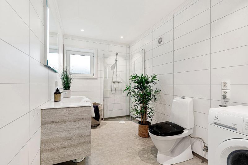 Plantas para el baño: cuáles elegir