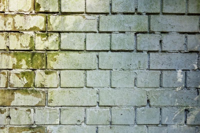 Cómo quitar el moho de las paredes: productos y remedios caseros