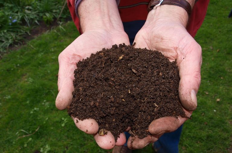 Cómo hacer compost casero para tus plantas